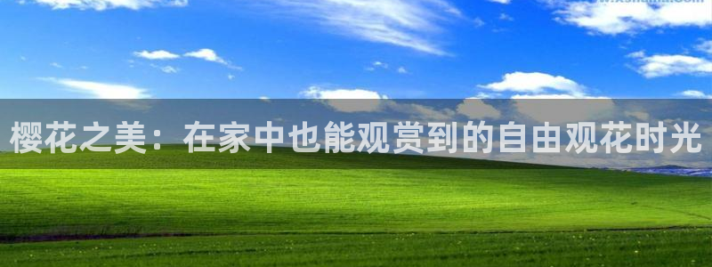 星空电影免费播放