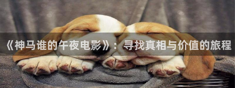 星空影免费播放