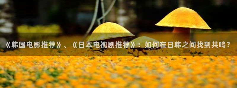 星空传媒免费视频观看
