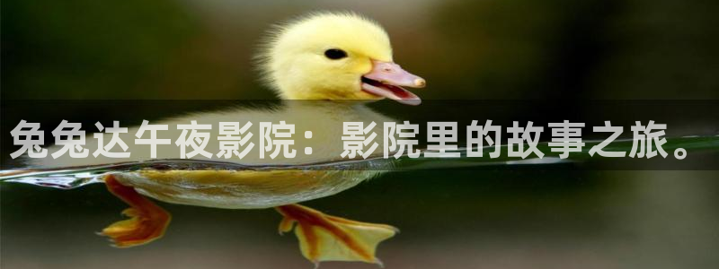 星空视频影视