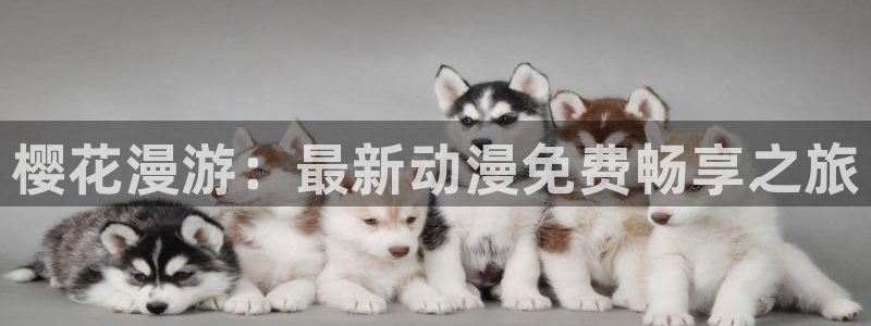 午夜影院动漫免费观看