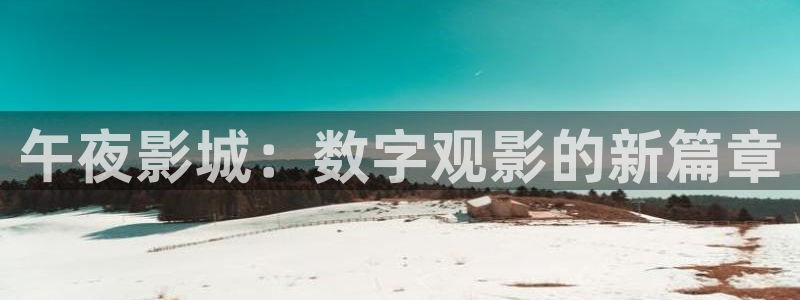 后宫露营午夜影院