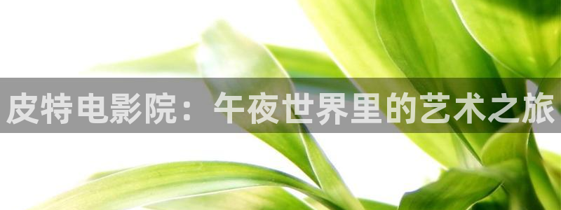 星空电影院线