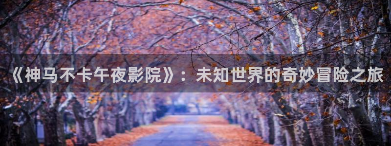 星空无痕mv在线播放免费观看