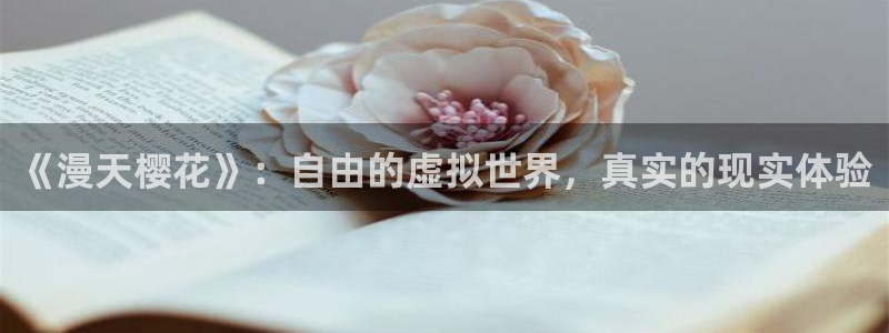 星空电影xkdy