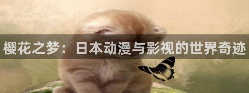 五哈5免费观看完整版午夜影院