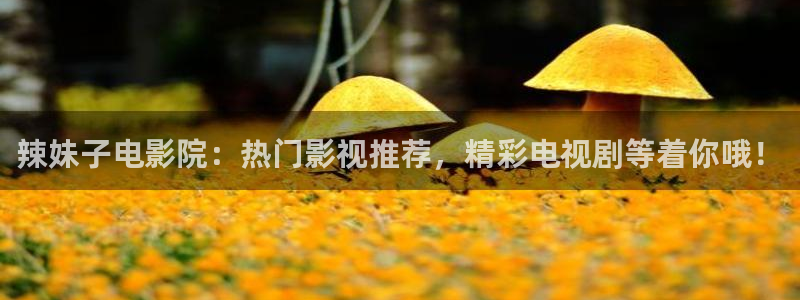 午夜影院传媒