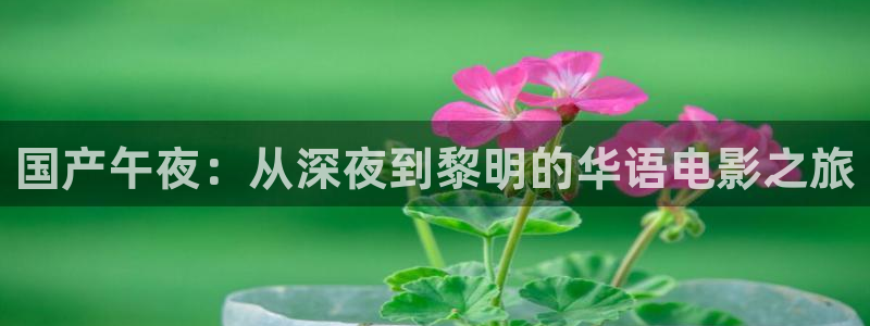星空影视app免费版下载