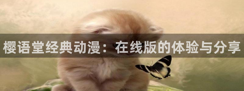 熊出没星空影视