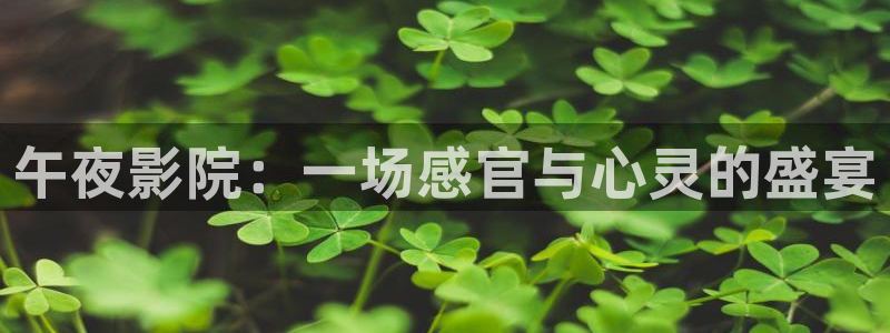 星空视频电影在线看免费