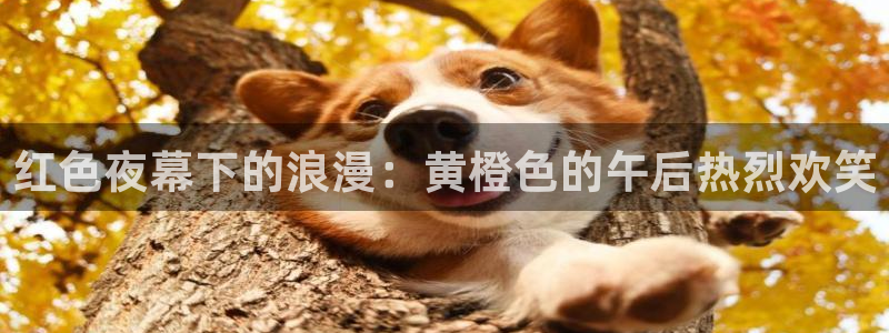 午夜影院在线观看电视剧最新章节