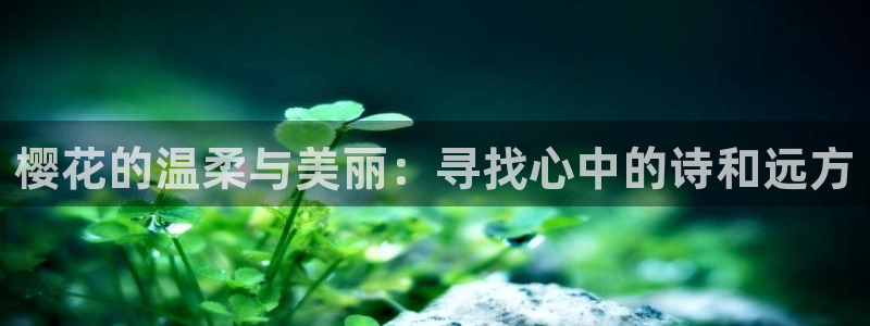 午夜影院在线观看