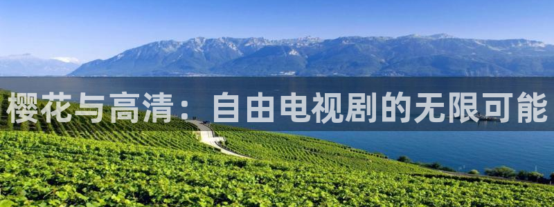 午夜影院理论片