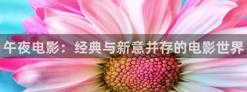 星空影视大全