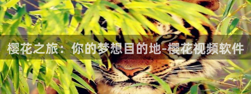 午夜影院电影