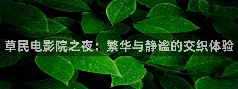 午夜影院在线观看免费高清视频