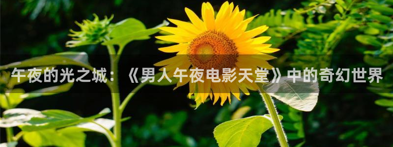 午夜影院免费观看电视剧电影大全