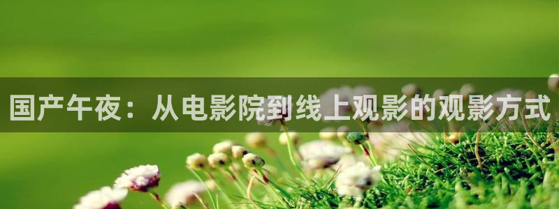 你好星期六午夜影院
