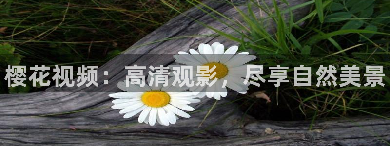 星空电影院线