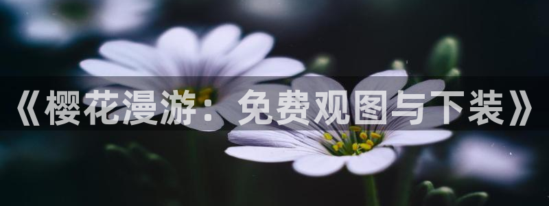 午夜影院策驰影院