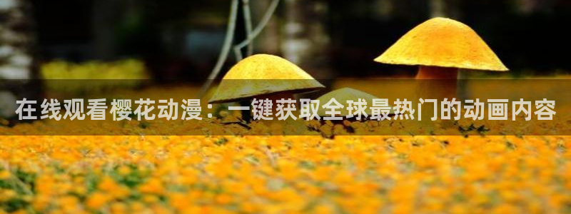 星空高清在线观看免费