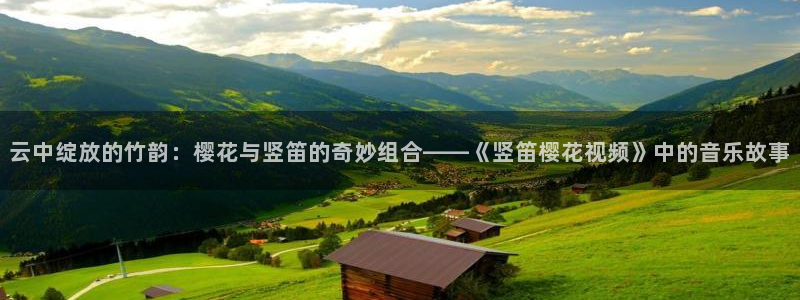 星空影视在线观看入口