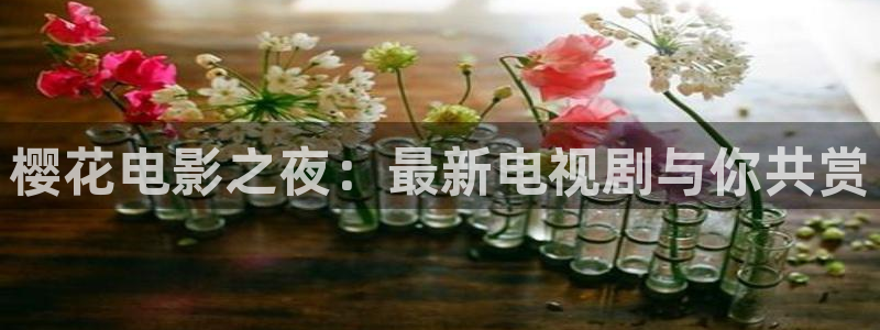 风车动漫动漫星空