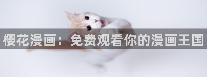 星空主题下载