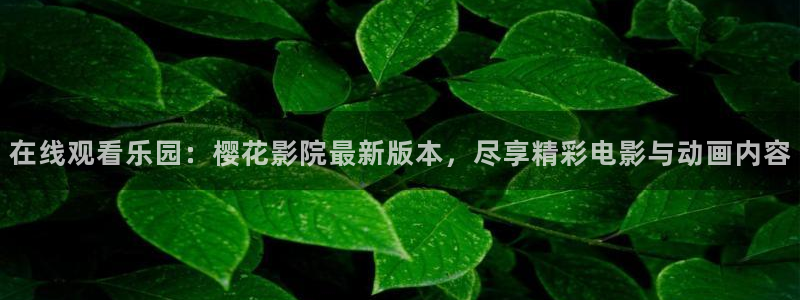 午夜影院6080新视觉电视剧免费上线