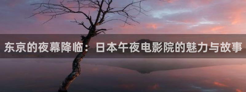 星空的电影