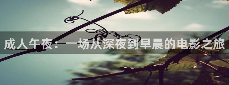 午夜影院和私人影院