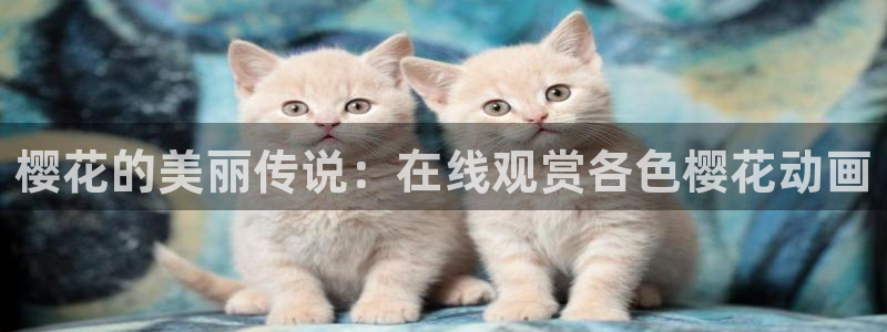 星空免费观看高清完整版