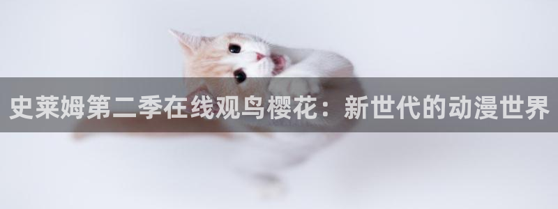 星空电影网 1080p